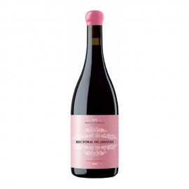 Vin rouge Rectoral de Amandi "Manolo Arnoya"