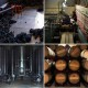 Vin blanc Las Salinas Zuri