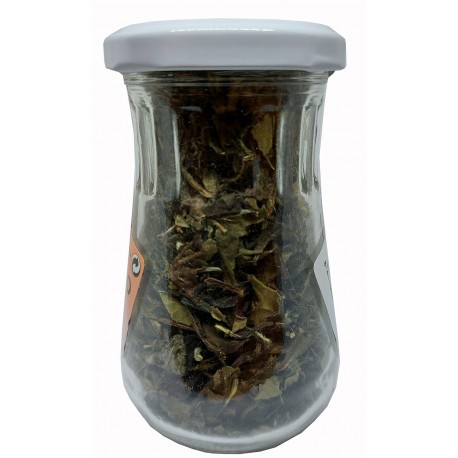 Thé blanc / Té blanco (sin teína)