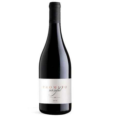 Prometo ser Infiel D.O. Ribera del Duero