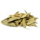 Feuilles d'eucalyptus séchées / Hojas de eucalipto