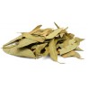 Feuilles d'eucalyptus séchées / Hojas de eucalipto