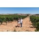 Vin rouge Alba En Ribera, Desde Zero