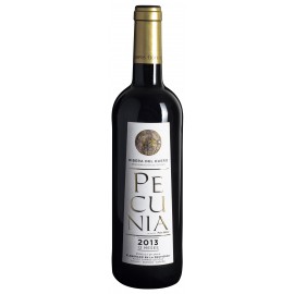 Vin BIO Pecunia Crianza 12 mois, 2013